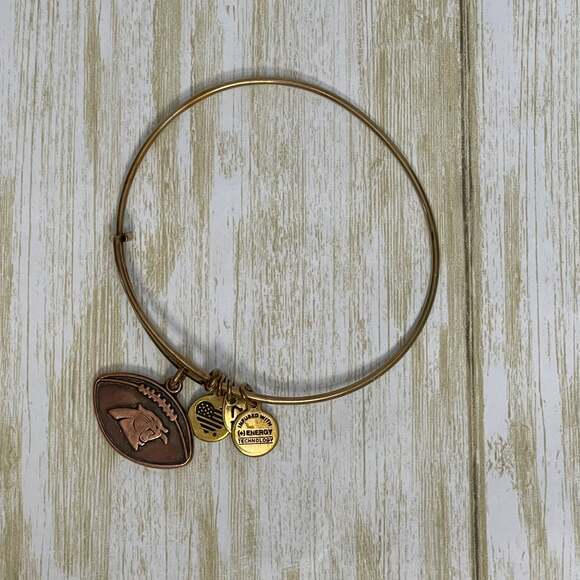 ALEX AND ANI Official NFL Carolina Panthers Bracelet - Picture 1 of 2